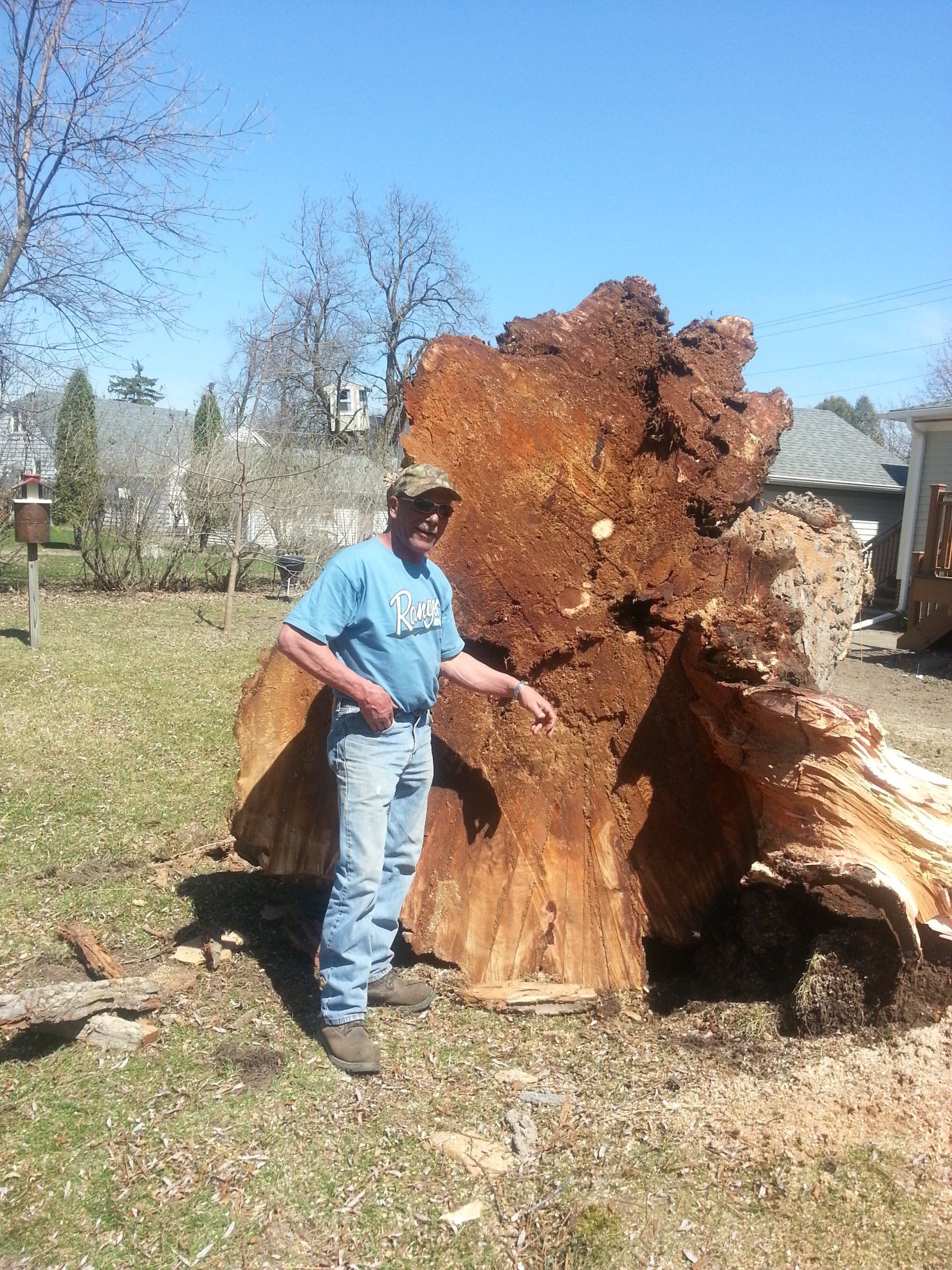 Man by stump of tree