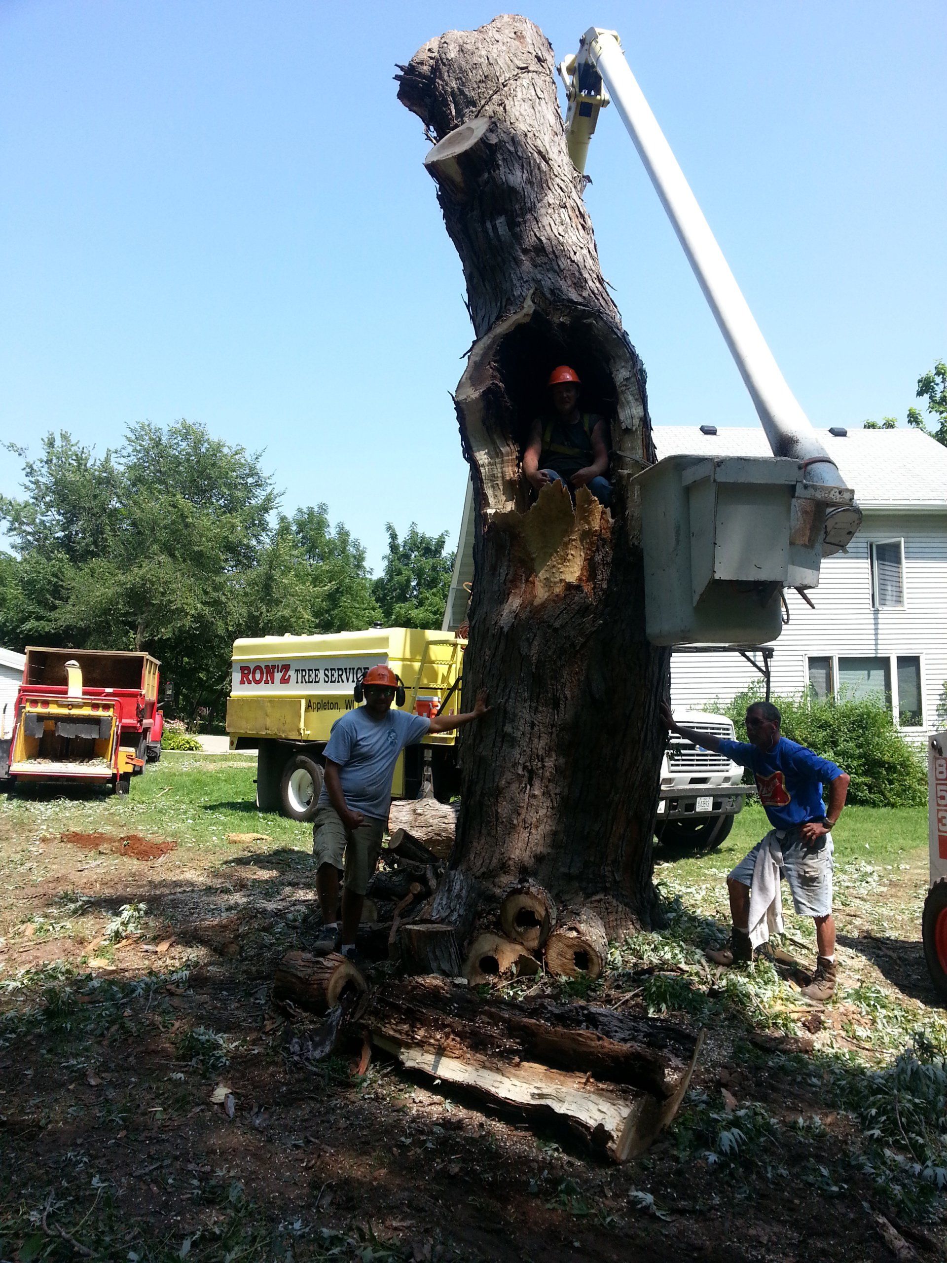 Ron'z Tree Service LLC Photo Gallery | Appleton, WI