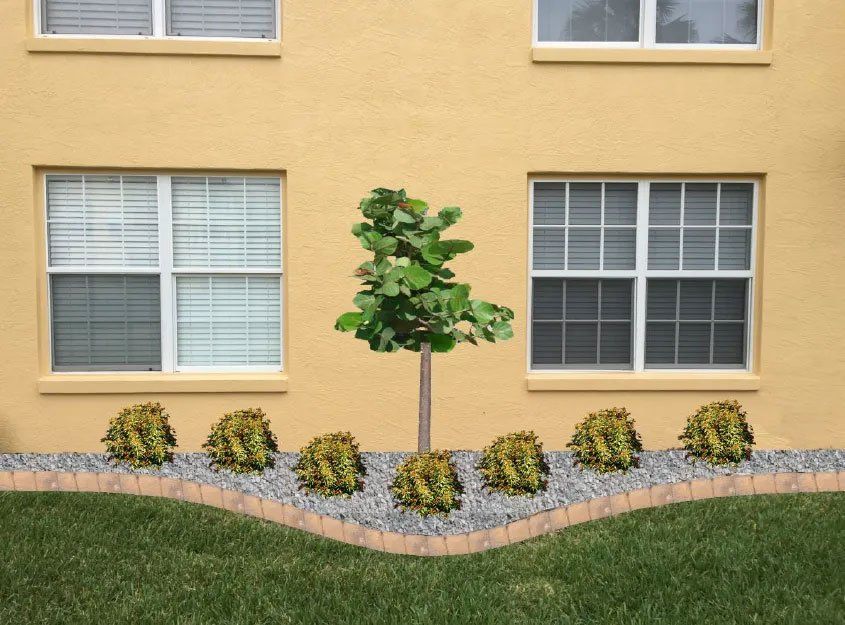 Landscape Design