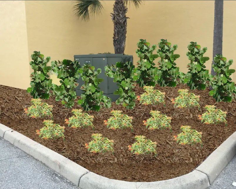 Landscape Design