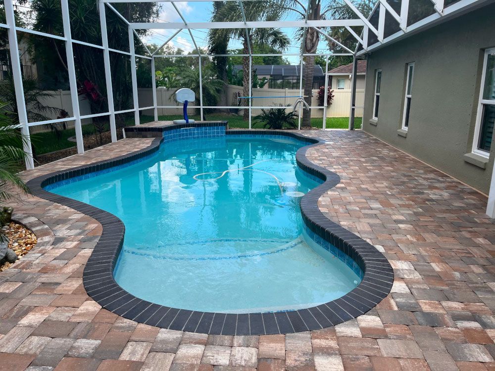 custom curved swimming pool