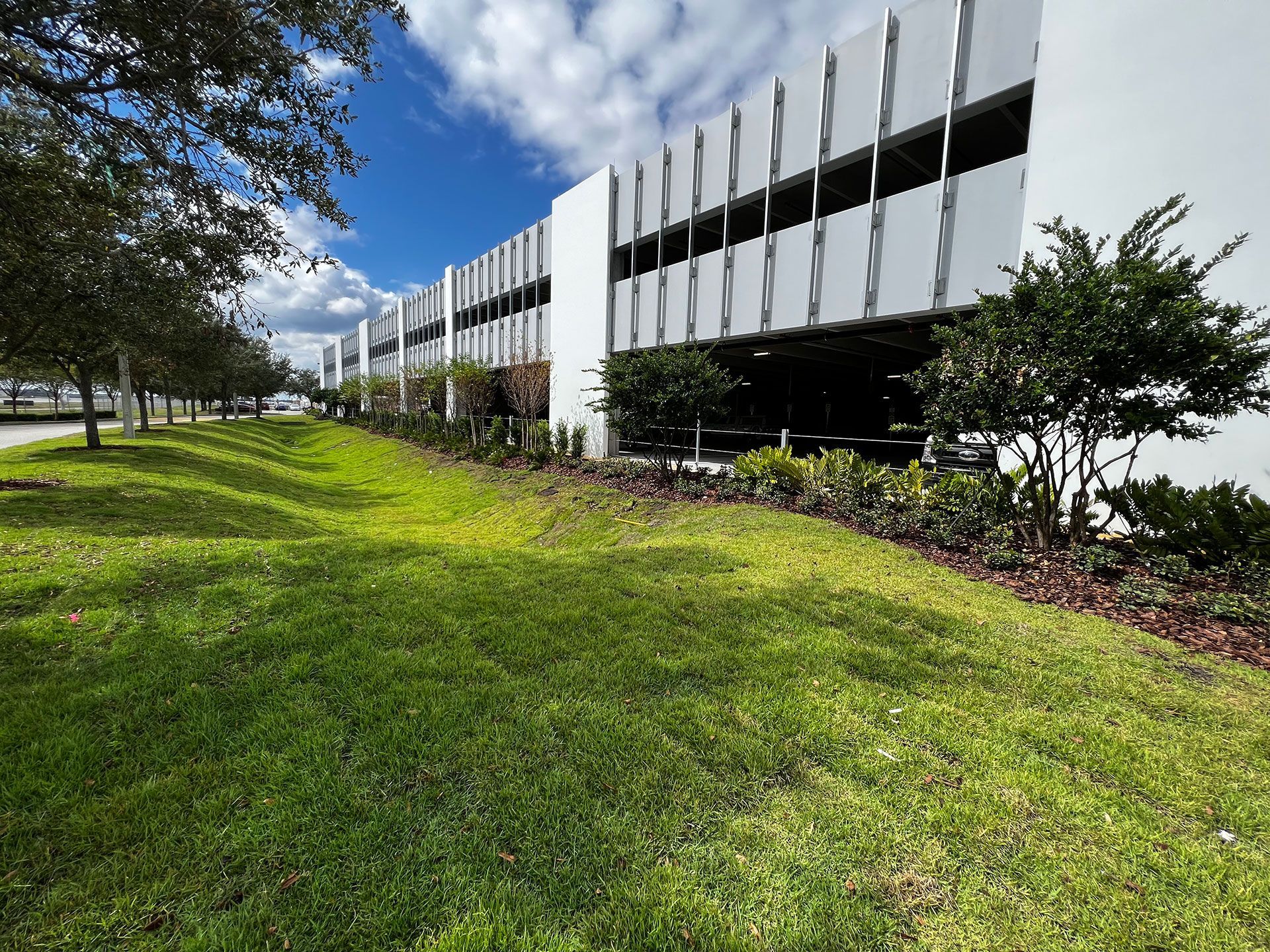 building surrounded by plants and grass
