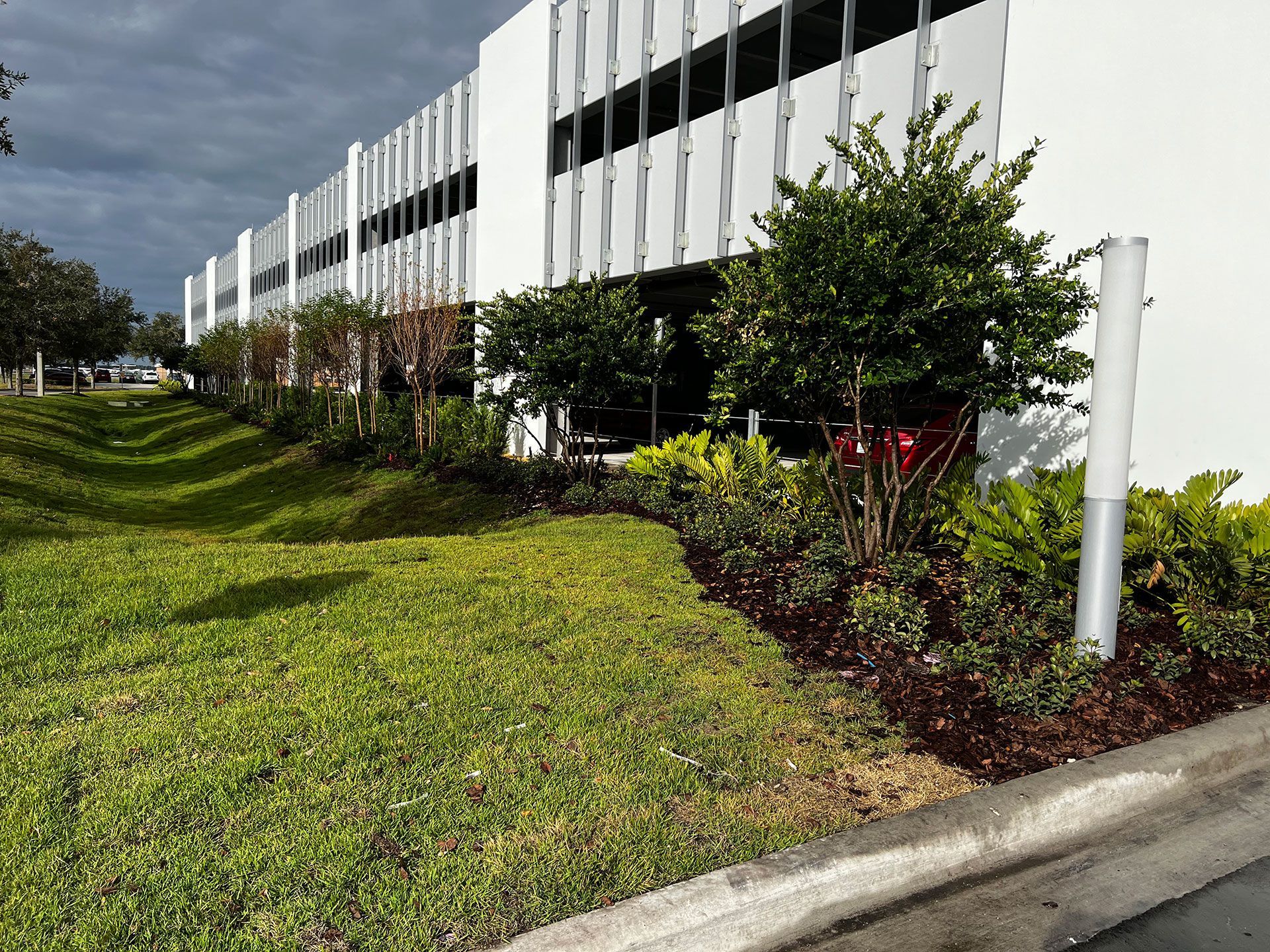 plants and grass next to the building