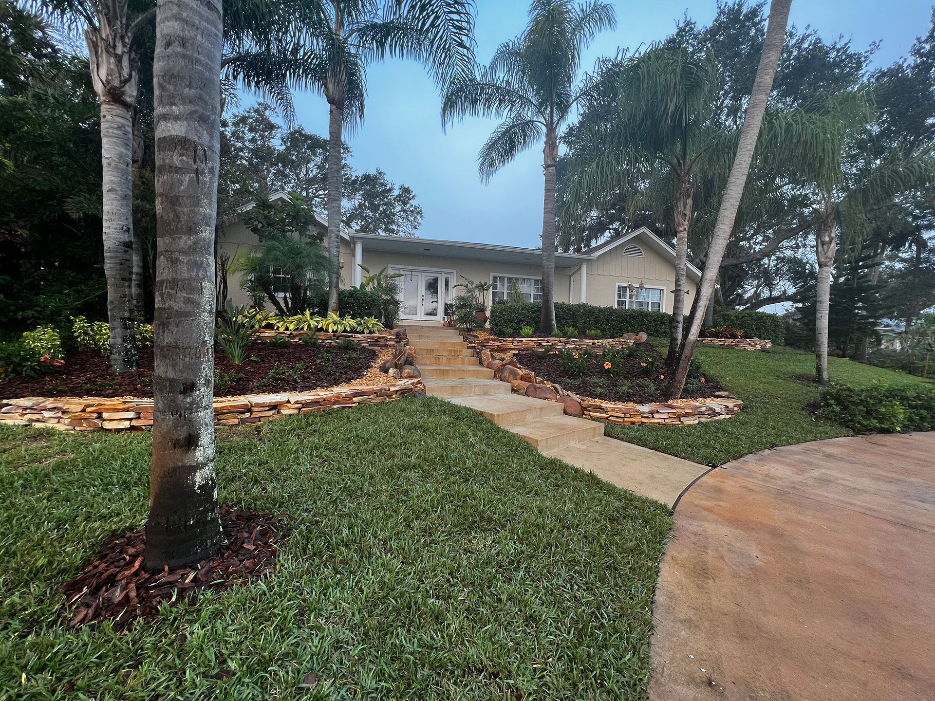 plants on the side of the steps leading to the house