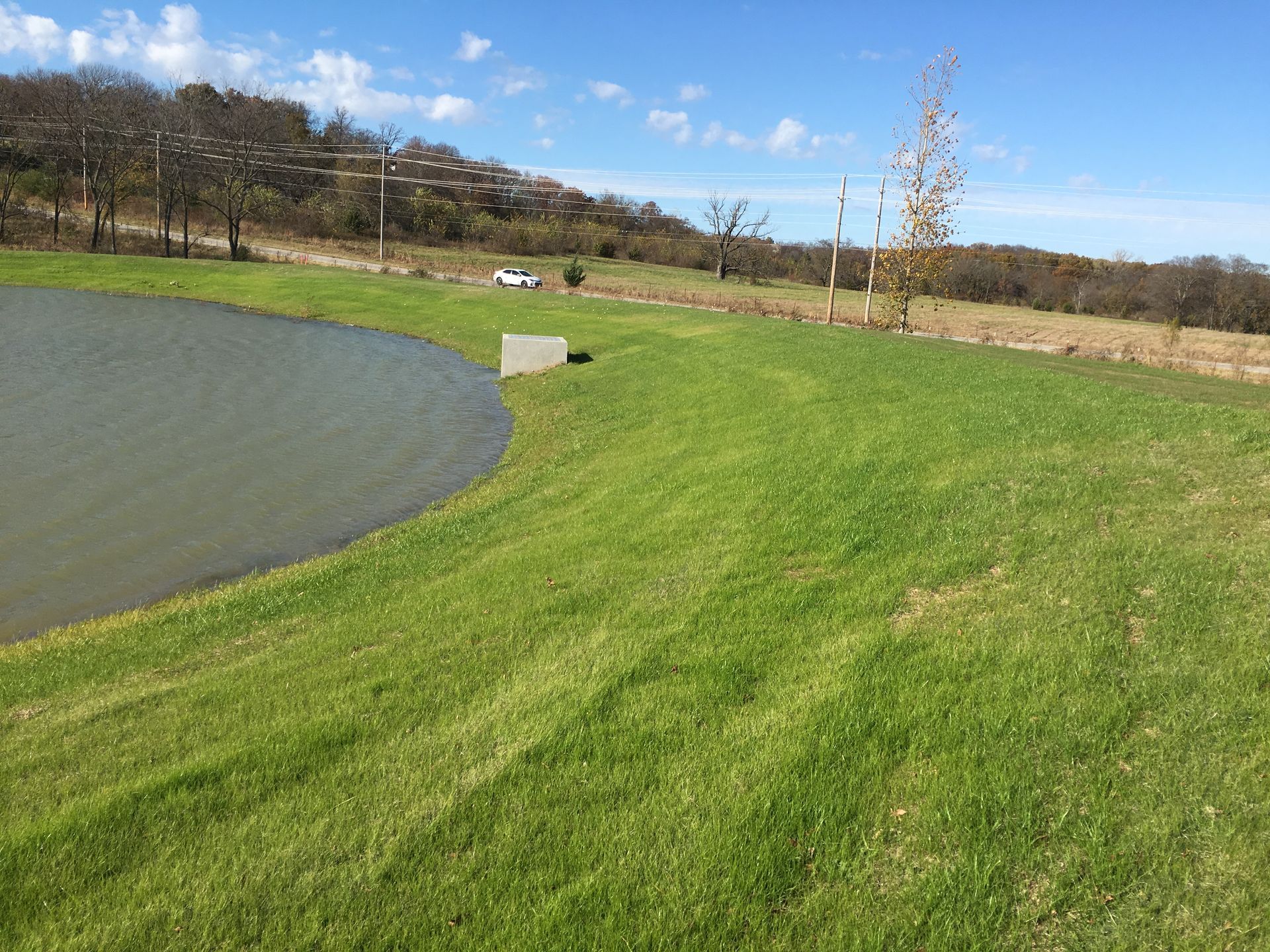 Green grassy slope beside a pond, under a blue sky, with a concrete structure.