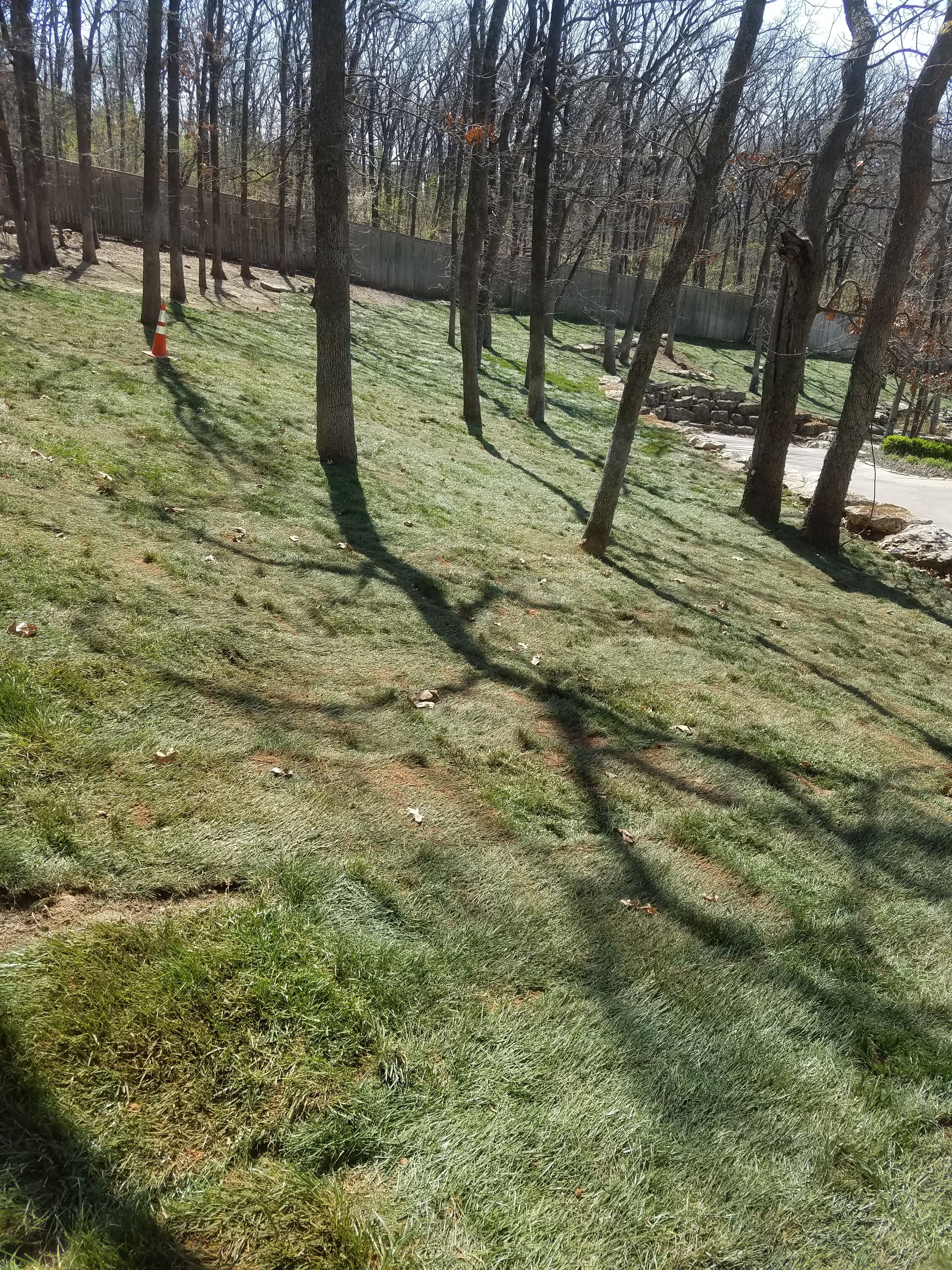 Sloping green lawn with trees casting long shadows on a sunny day.