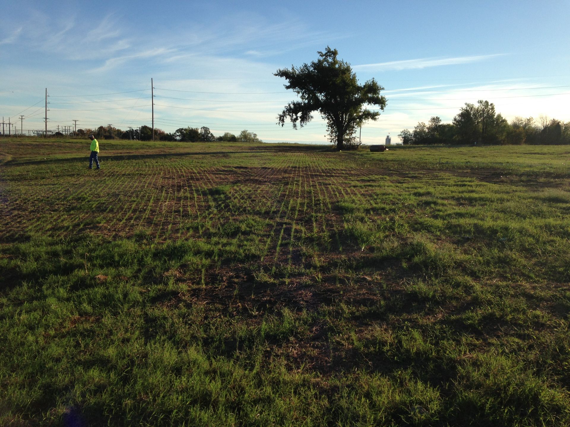 Person in yellow vest surveys a field with a lone tree under a blue sky.