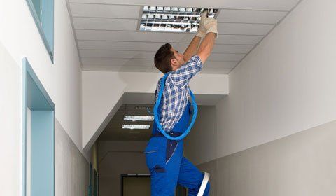 Electrician on stepladder installs lighting to the ceiling in office