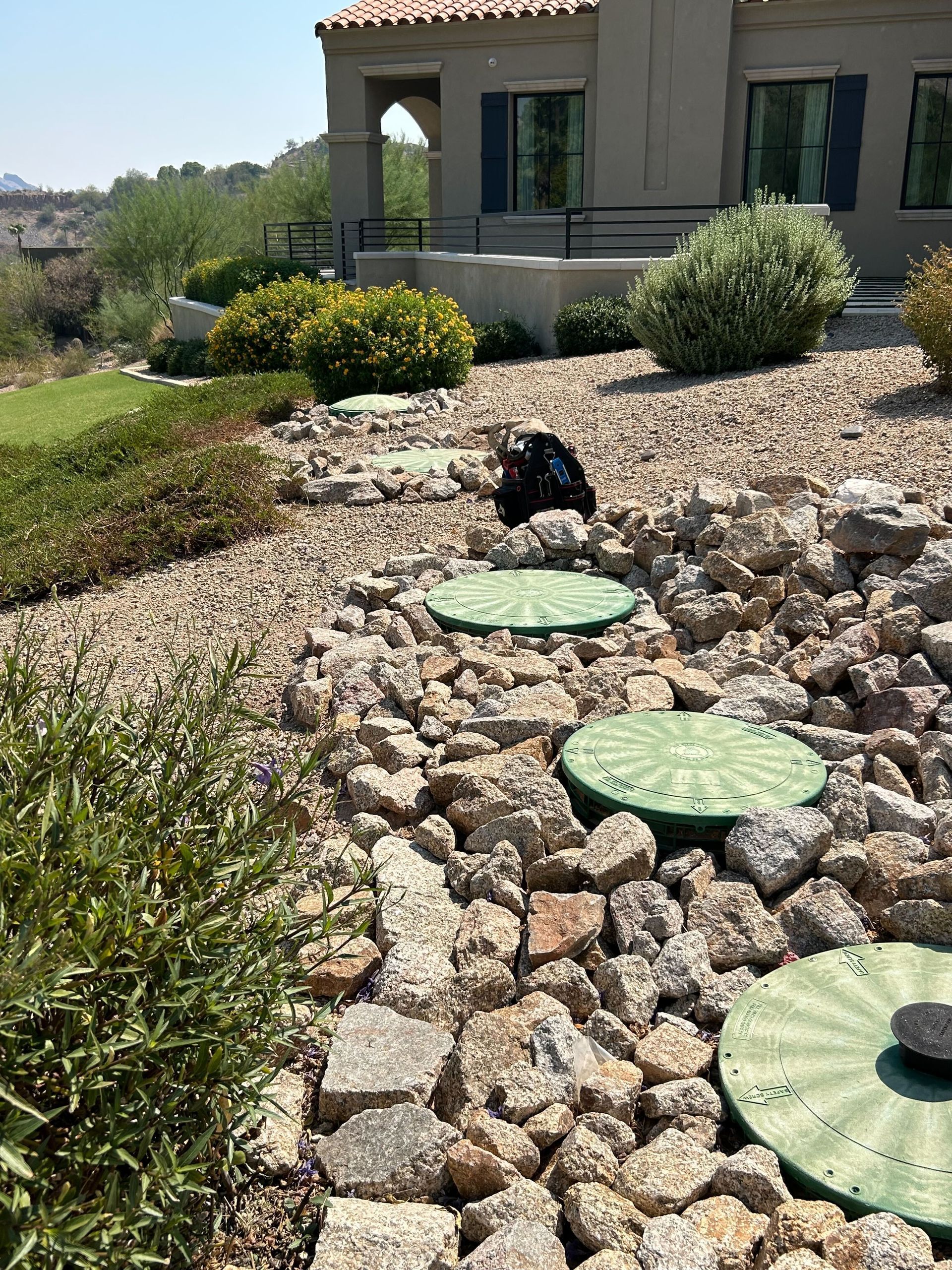 Garden bed with cactus-like stepping stones and a black dog near a house in bright sunlight