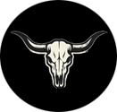 White bull skull with long horns on a black background.