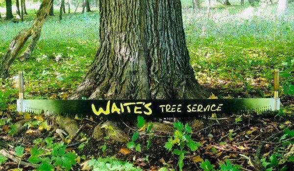 Waite's Tree Service