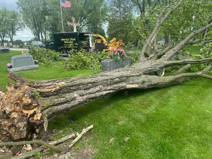 Waite's Tree Service Truck