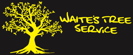 Waite's Tree Service LLC - Logo