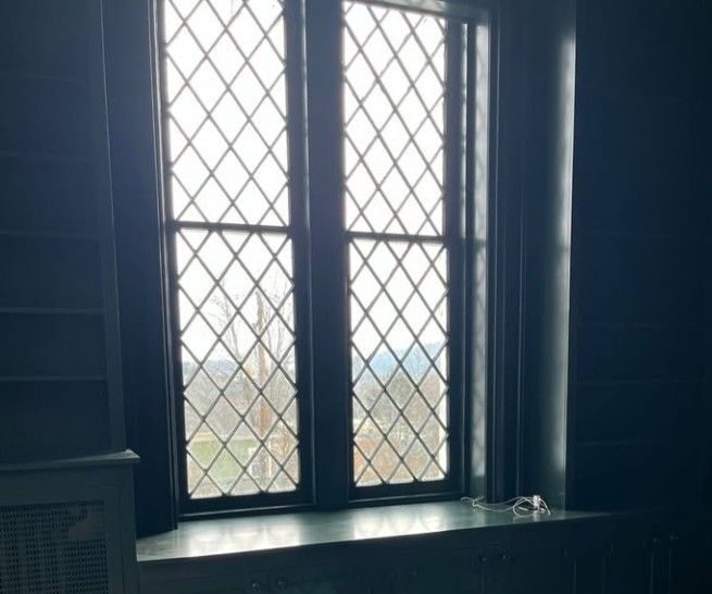 Dark interior window with diamond-pattern leaded panes and a view of trees outside