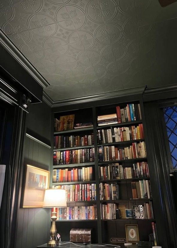 Dark-paneled library corner with a tall bookshelf, warm table lamp, and textured ceiling.