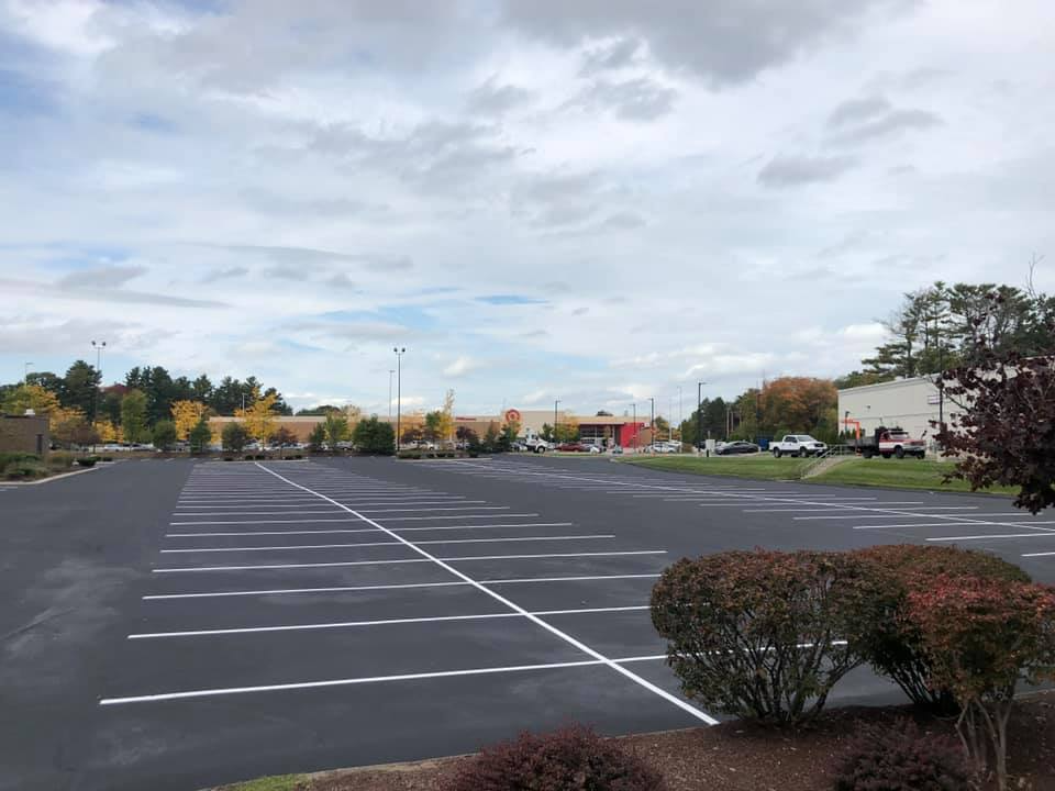 Empty parking lot with painted white lines under a cloudy sky, trees and shrubs in the distance