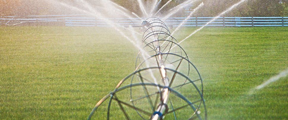 Sprinkler Irrigation in a large field