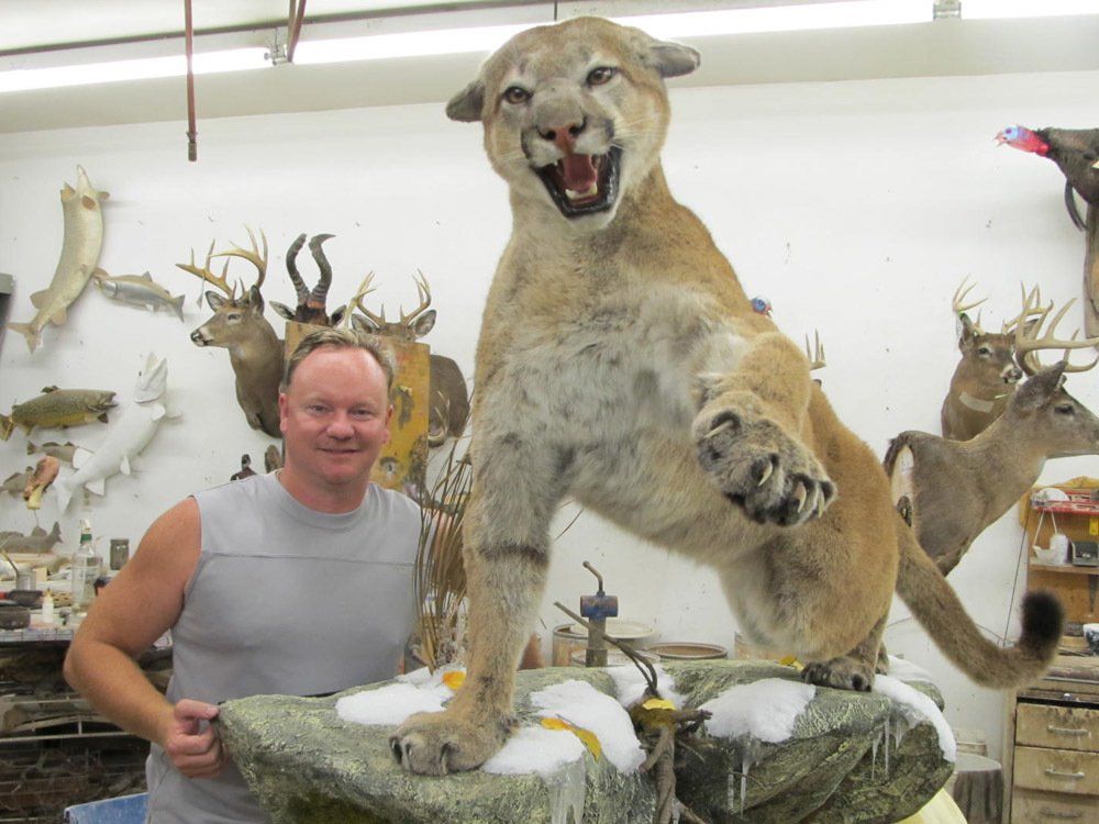 Taxidermy
