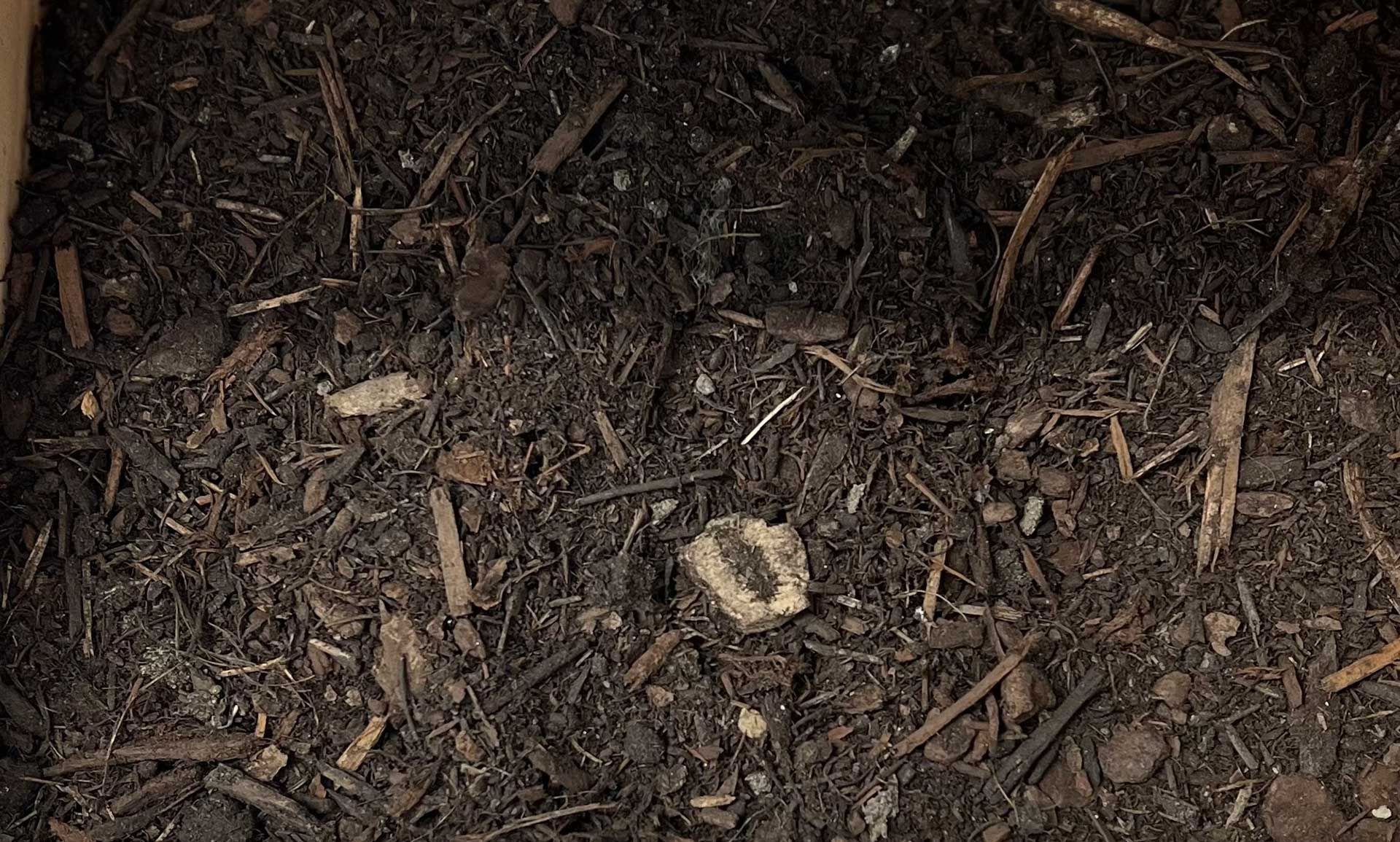 A pile of aged bark and compost, dirt with a few pieces of wood in it.