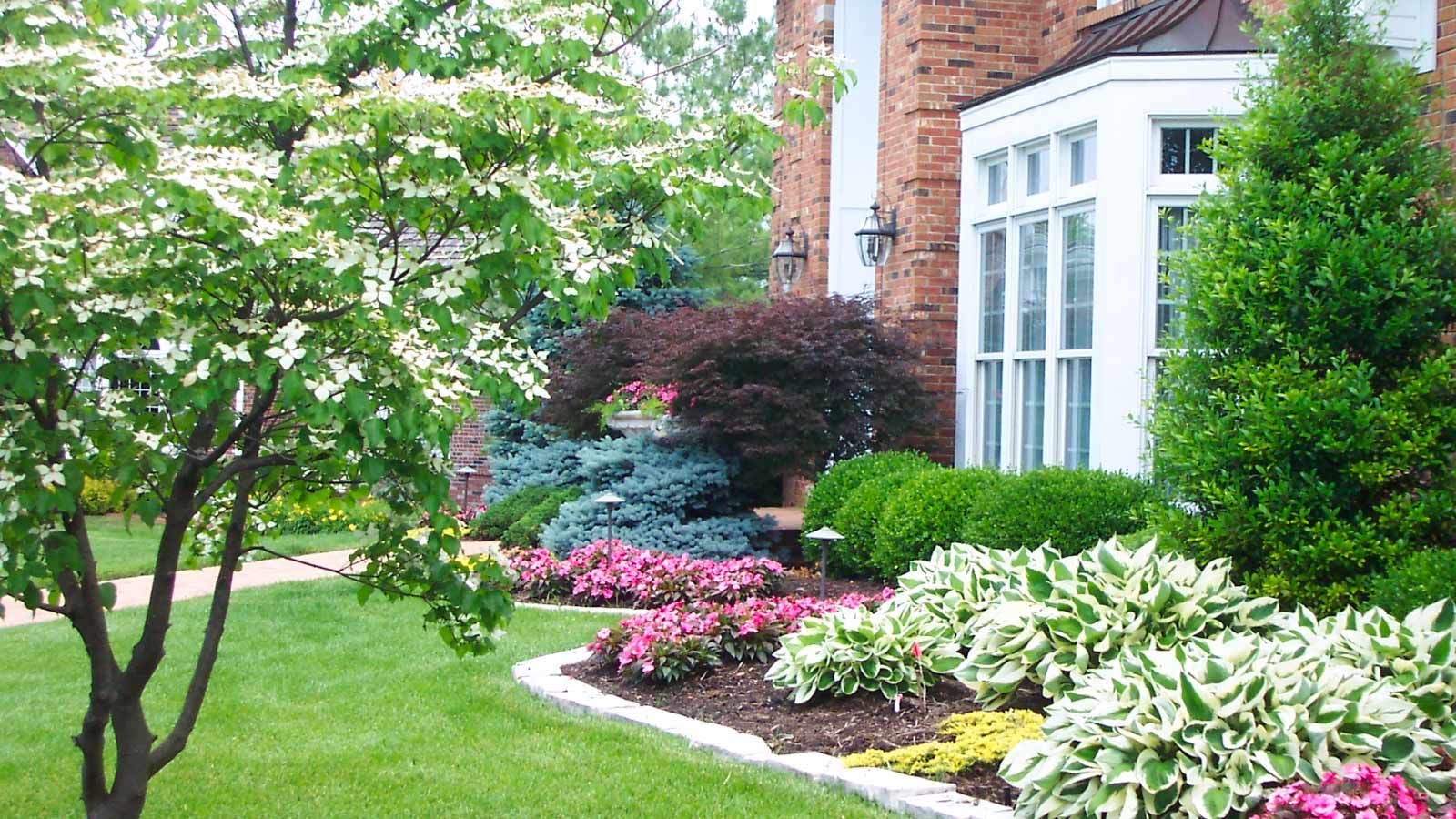 Landscaping - front yard