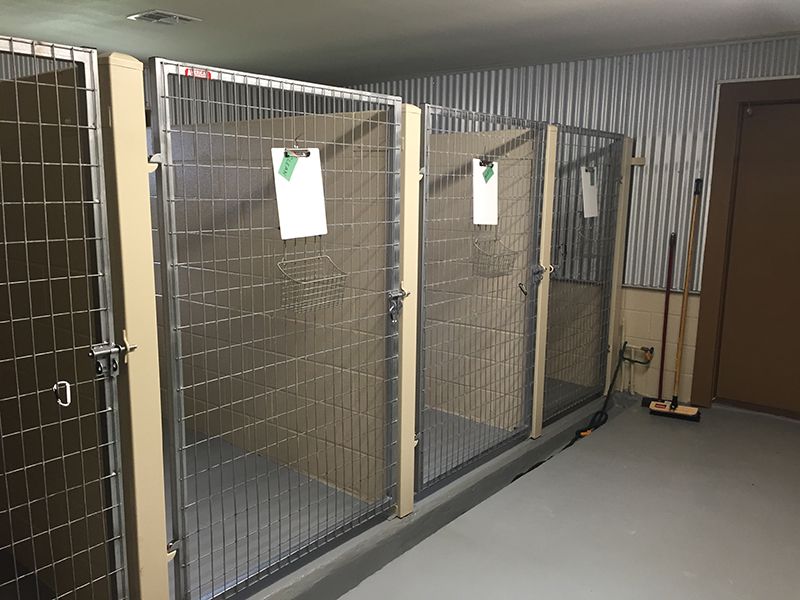 A row of dog kennels in a room with a broom