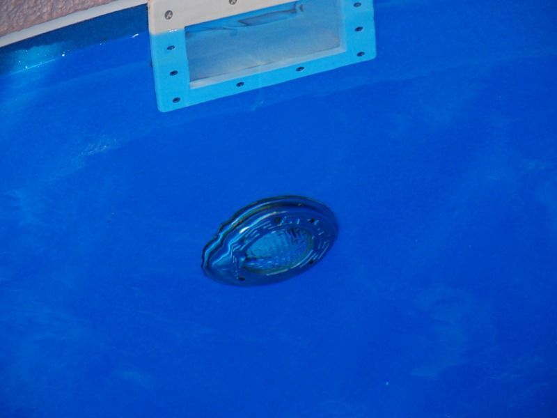 Blue plastic bin with a clear lid or handle on top