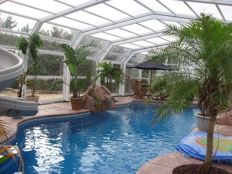 Indoor tropical pool under a glass roof with palm trees and blue water