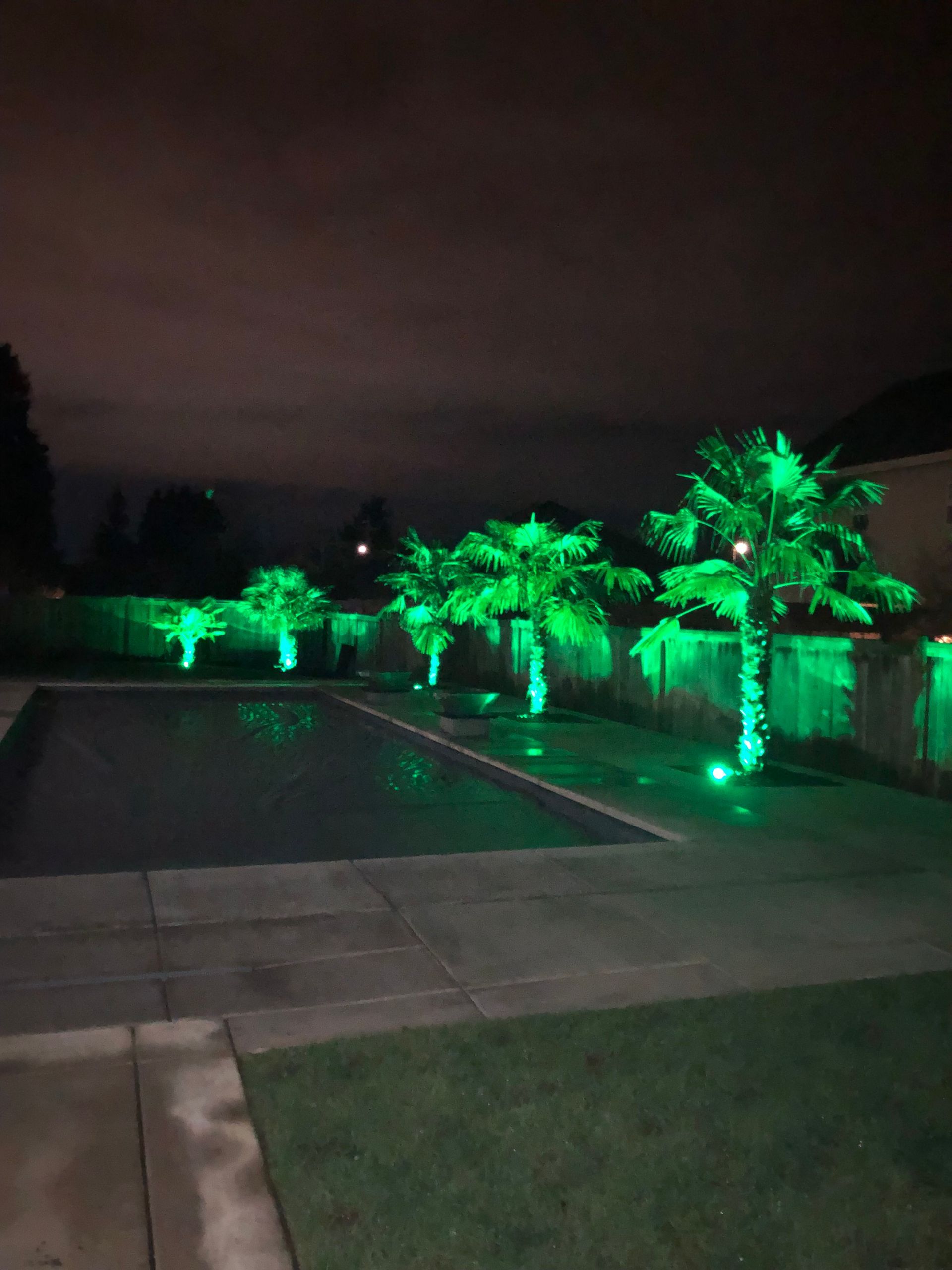 Nighttime backyard with glowing green-lit palm trees beside a swimming pool and lawn