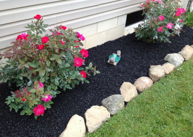 Two rose bushes with vibrant pink flowers sit in a garden bed with black mulch, bordered by large decorative stones.