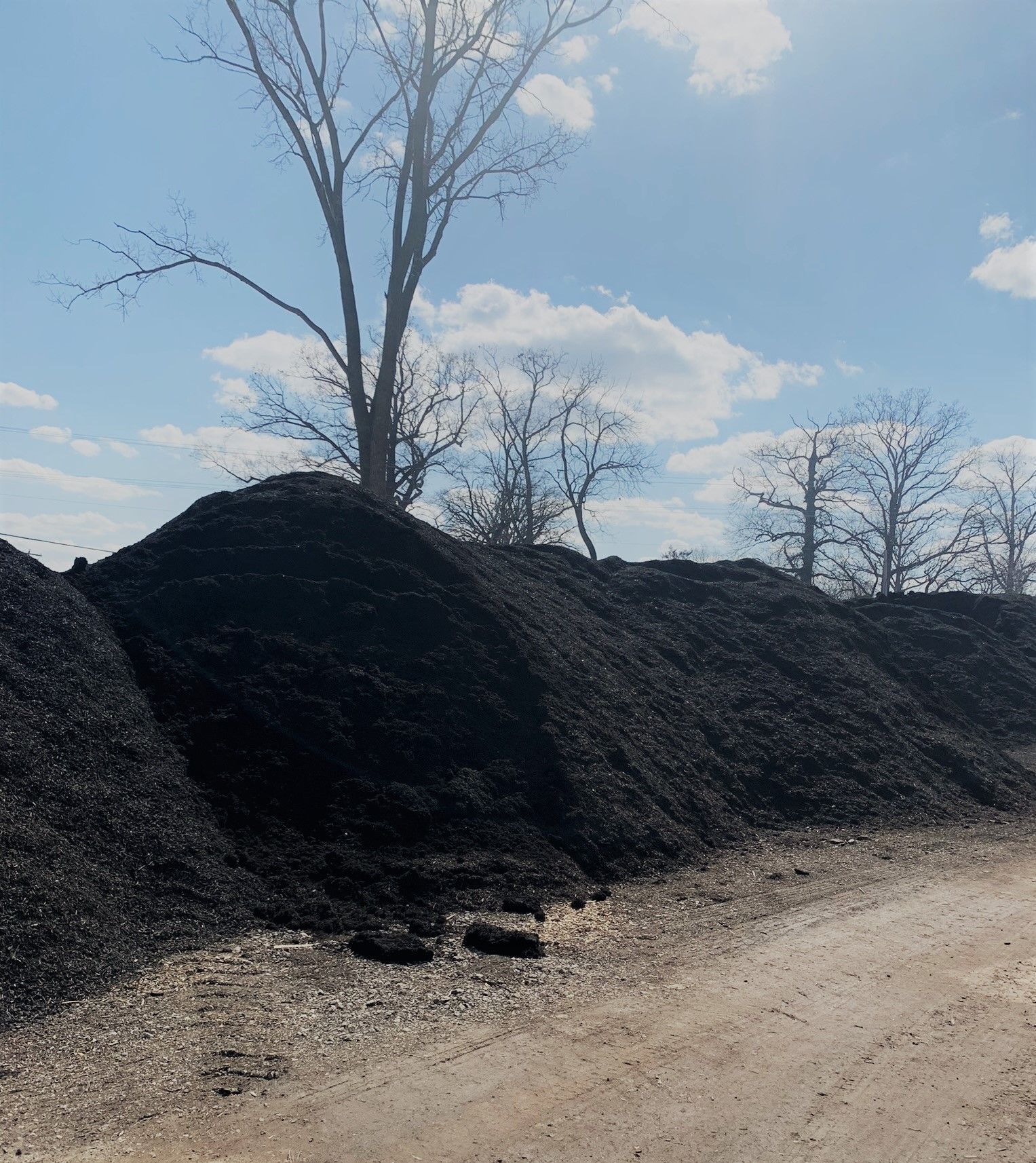 Large piles of black coal or gravel sit beside a dirt road under a bright blue sky with bare trees in the background.
