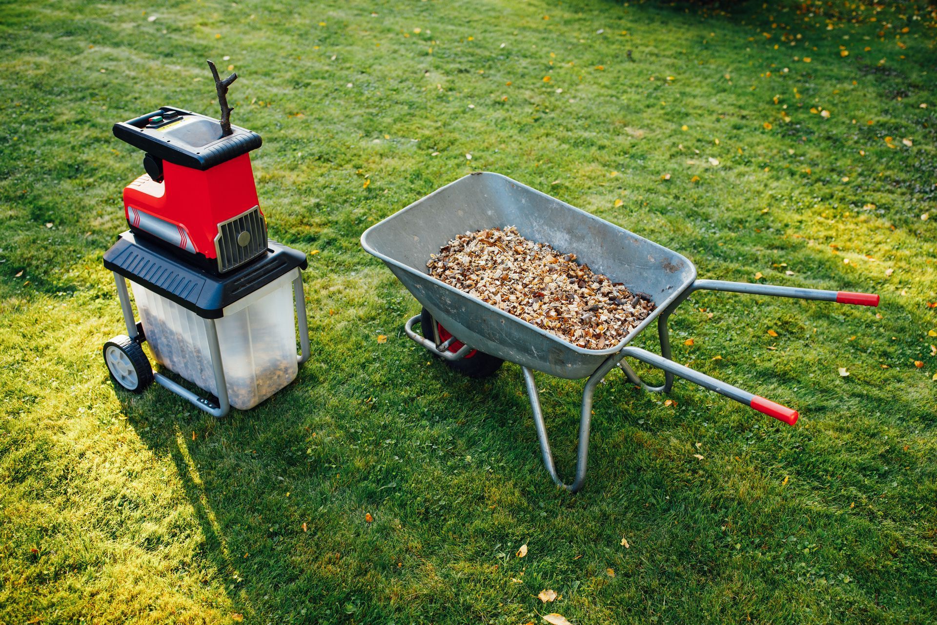 A red garden shredder next to a metal wheelbarrow filled with wood chips on a green lawn.