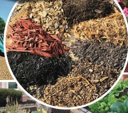 A circular collage displaying six varieties of landscaping mulch in different colors and textures, including wood chips.