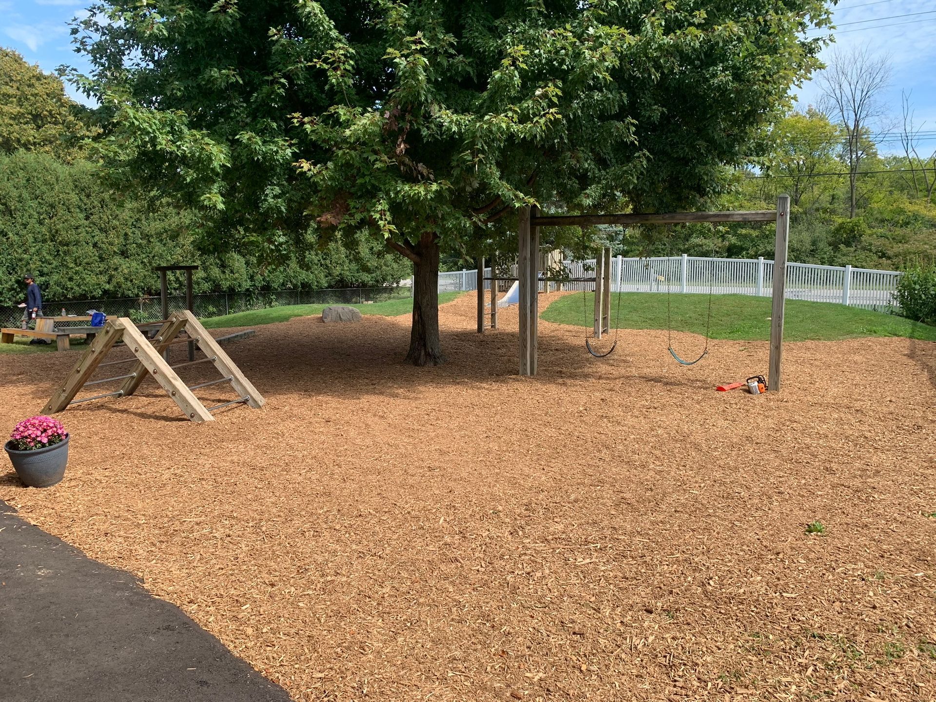A playground area with wood chips, a large tree, a small climbing frame, and a swing set on a sunny day.