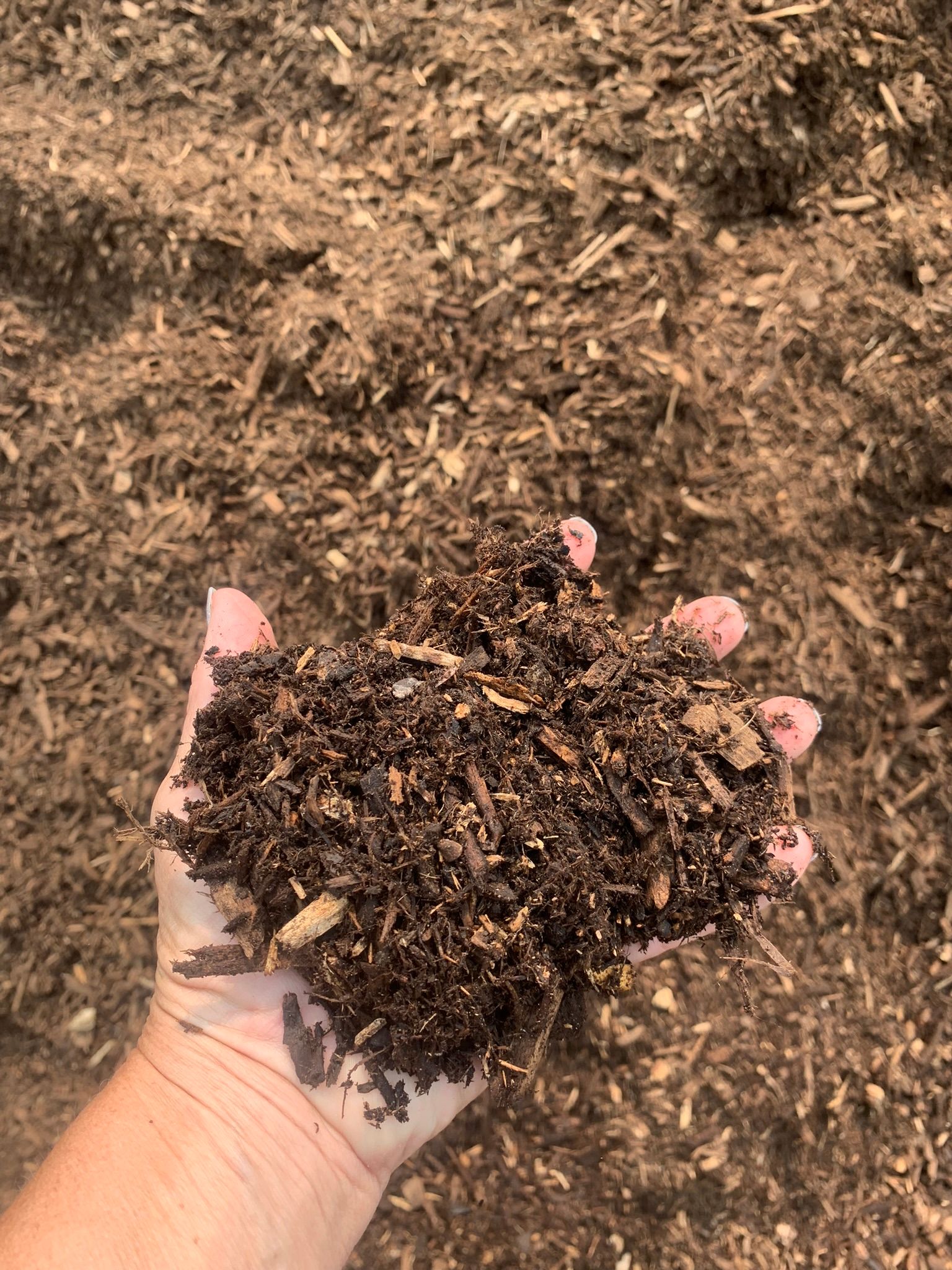 A person’s hand holds a clump of dark, damp soil and wood chip mulch, with more mulch visible in the background.