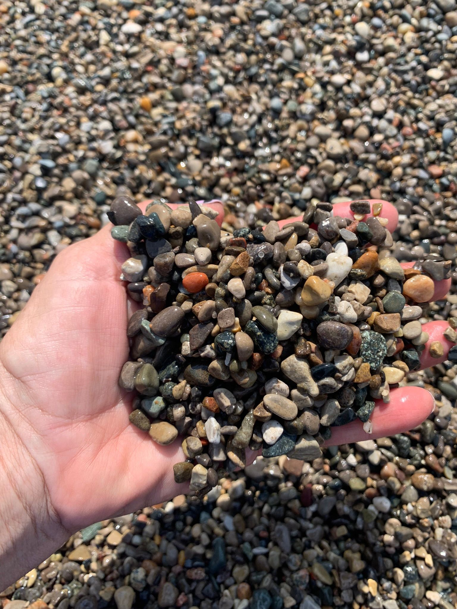 A hand holds a palmful of small, multi-colored smooth river pebbles against a background of more scattered stones.