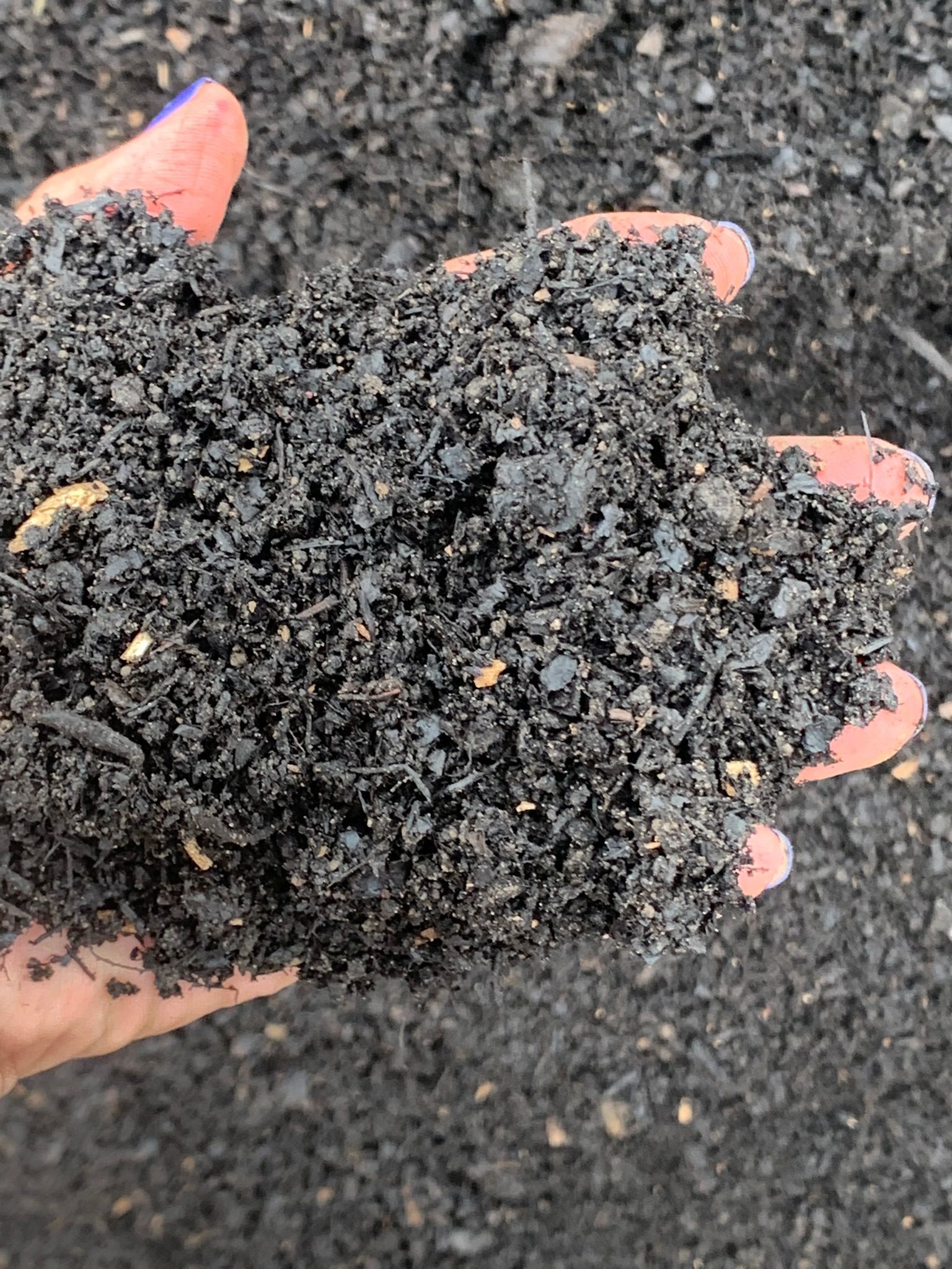 A hand holding a scoop of dark, fine-textured organic compost or nutrient-rich soil.