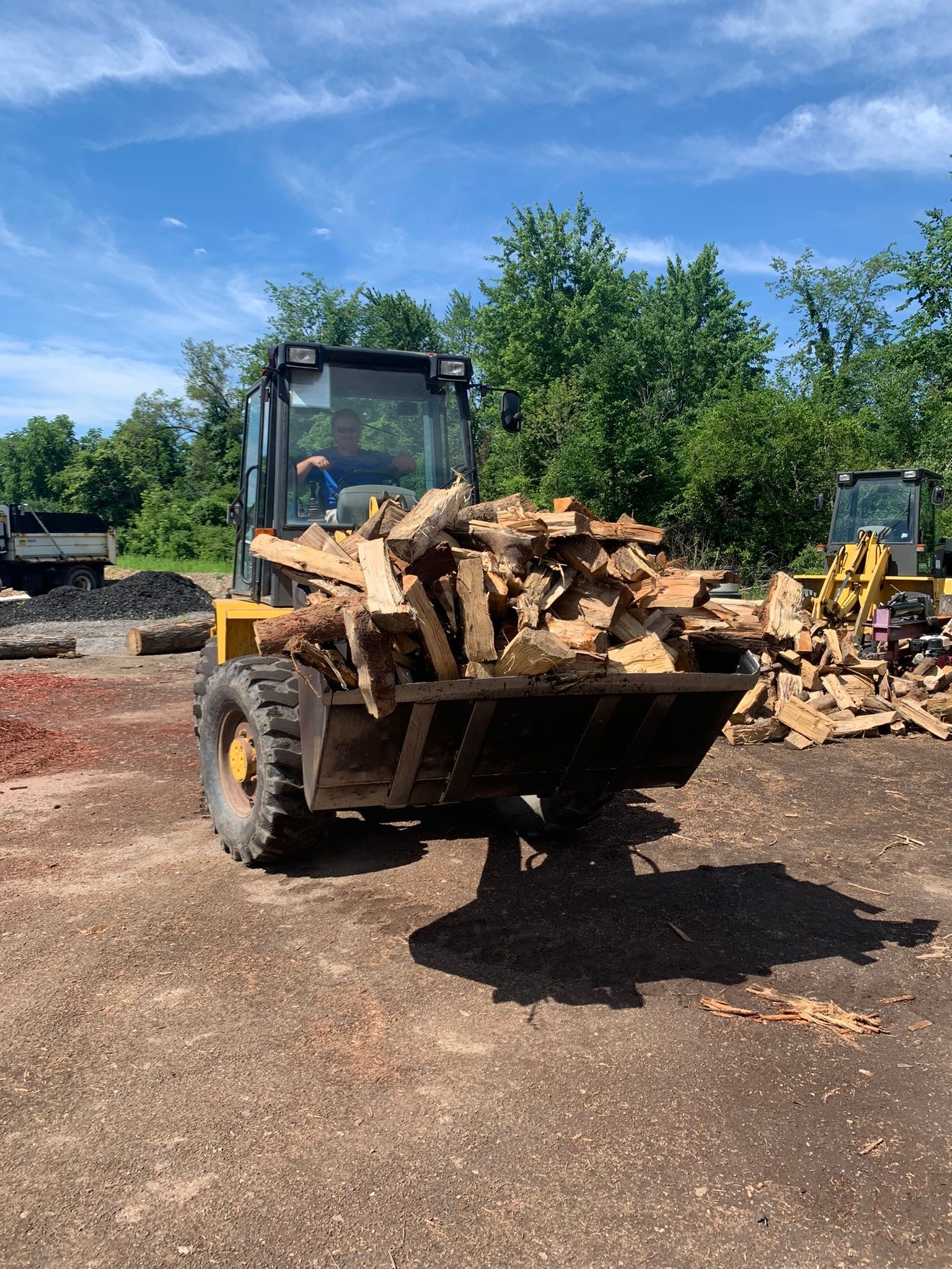 A yellow skid steer loader carries a large pile of chopped firewood across a dirt yard under a sunny, blue sky.