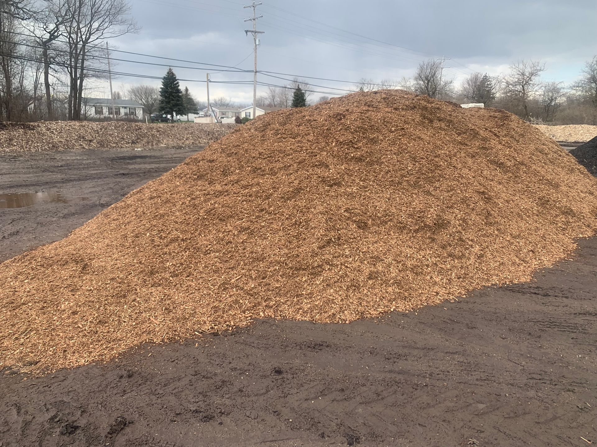 A large pile of light brown wood mulch sits on a dark, muddy field under an overcast sky.