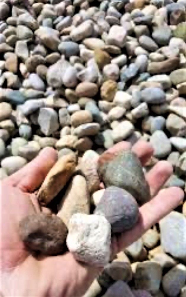A hand holding a handful of smooth, multicolored river rocks against a background of more scattered stones.