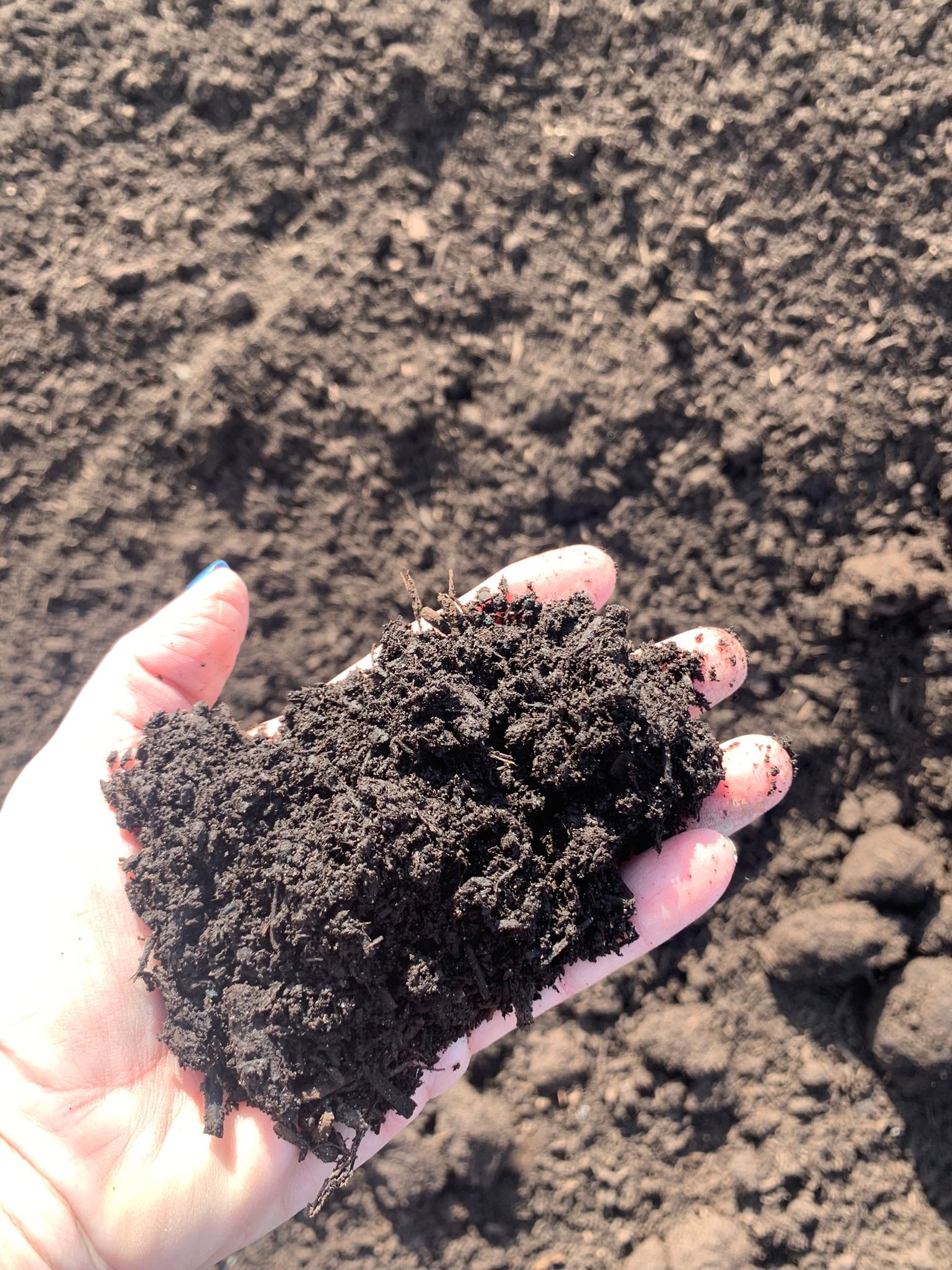 A hand holds a palmful of dark, rich soil against a background of tilled garden earth.