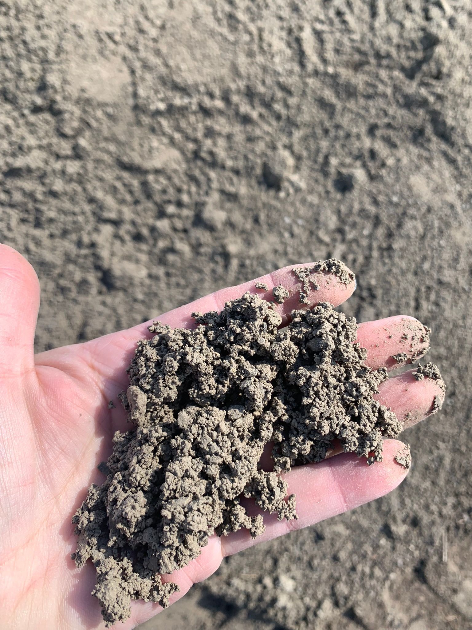 A hand holding a palmful of dry, light brown, granular soil against a blurred background of a field.