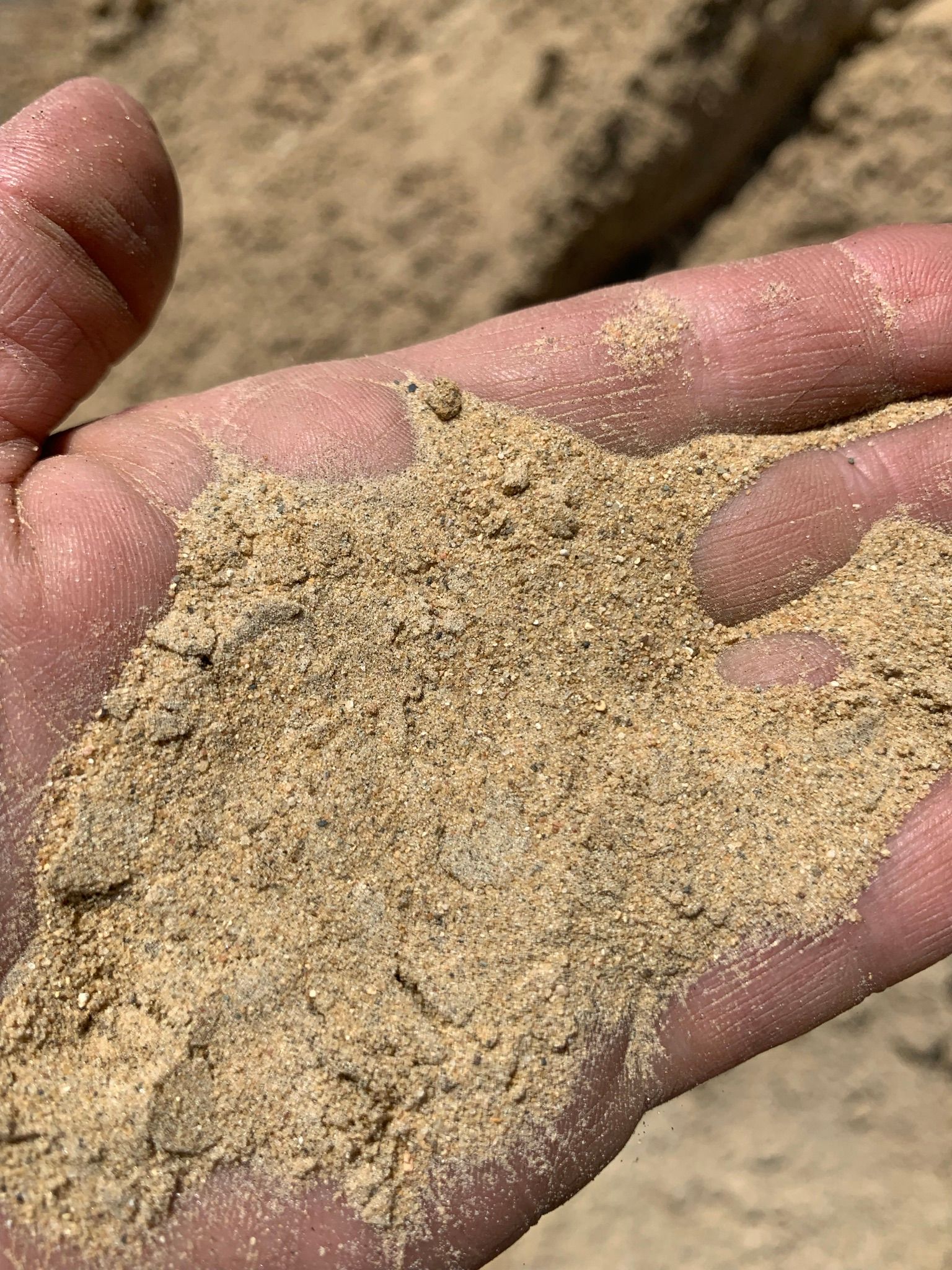 A close-up view of a hand holding a handful of light-brown, coarse sandy soil.