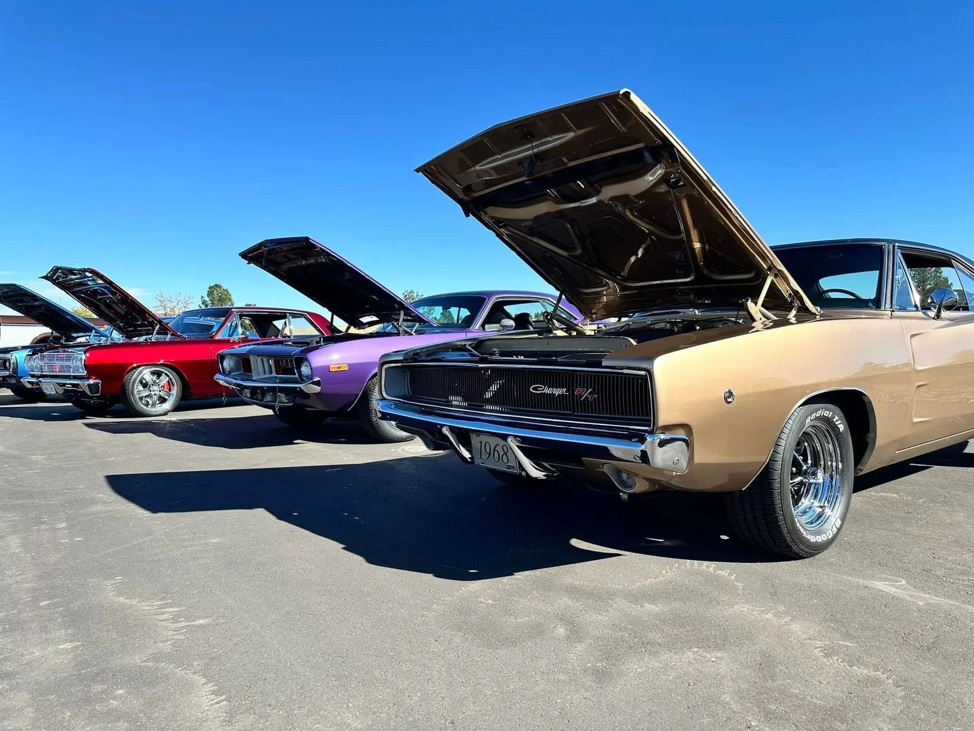 A row of classic American muscle cars parked outdoors with hoods open under a clear blue sky.