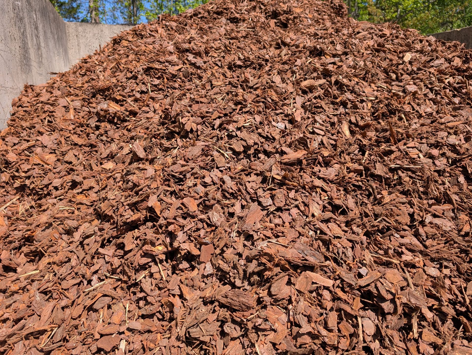 Large pile of brown wood chips outdoors beside a concrete wall and trees