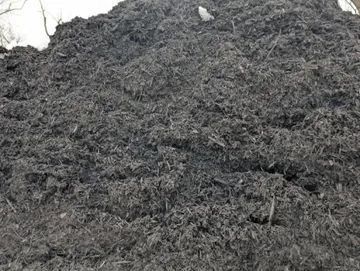 A large, slightly elevated pile of dark, finely textured organic mulch or garden soil.