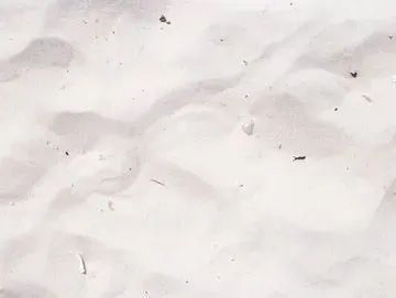Close-up of white, fine-grained beach sand with gentle ripples and a few tiny bits of debris scattered throughout.