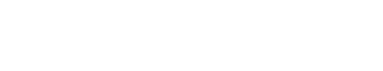 Emergency Rooter Services Logo