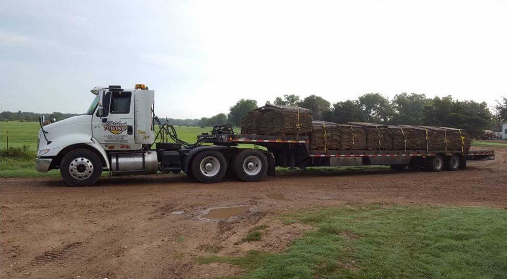 Whitaker's Towing work