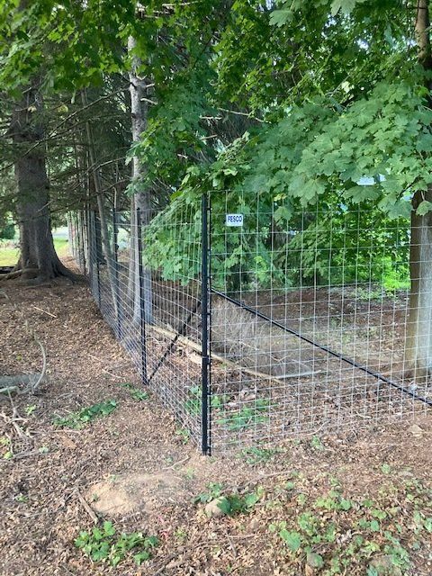 Metal mesh fence runs along a wooded area. The fence is supported by black posts.