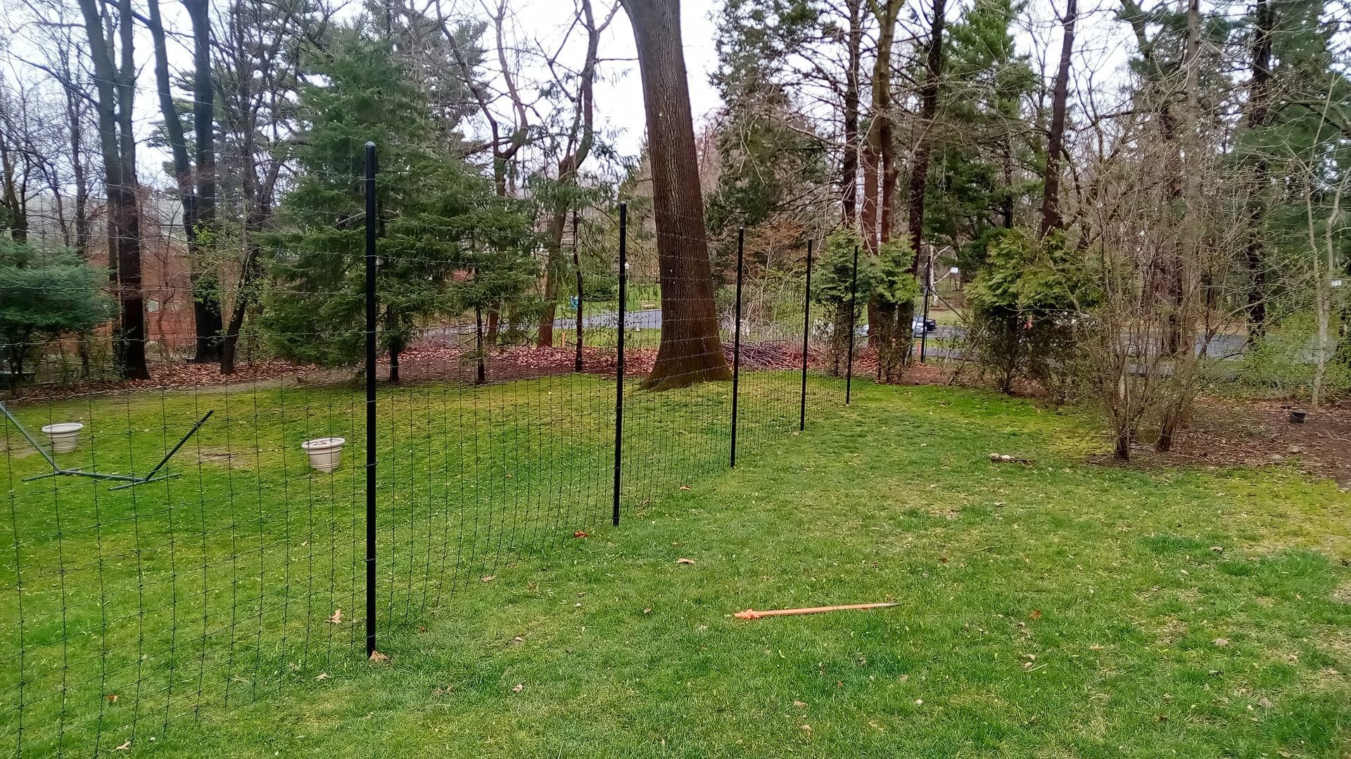 Black metal stakes and wires create a garden bed in a grassy yard, surrounded by trees.